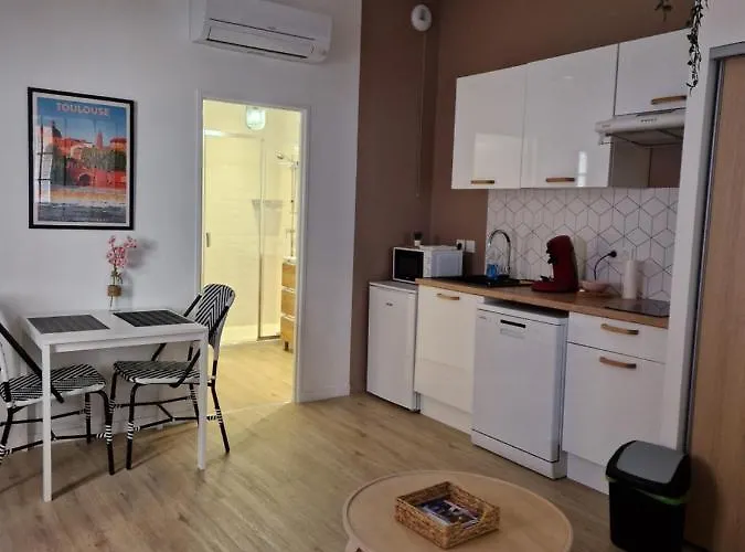 Chal2 Hyper-centre T2 Confort Et Calme * 圖盧茲